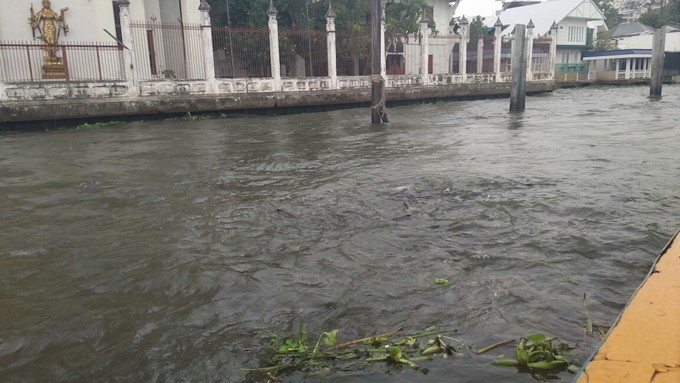 在泰国和泰国人对话,在泰国旅游怎么沟通