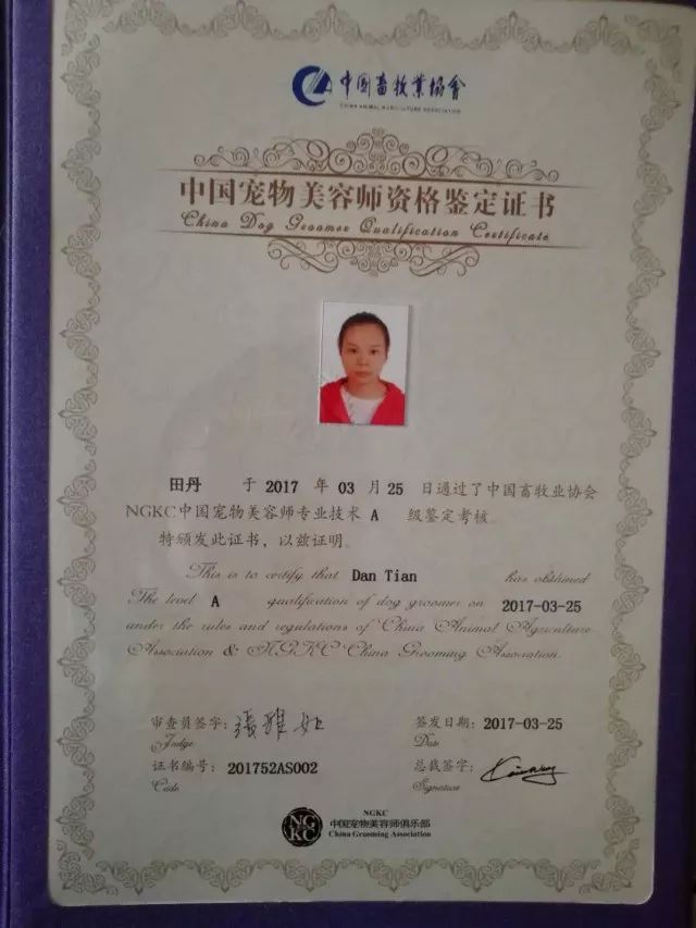 田丹最后一集画面,田丹最后什么结果