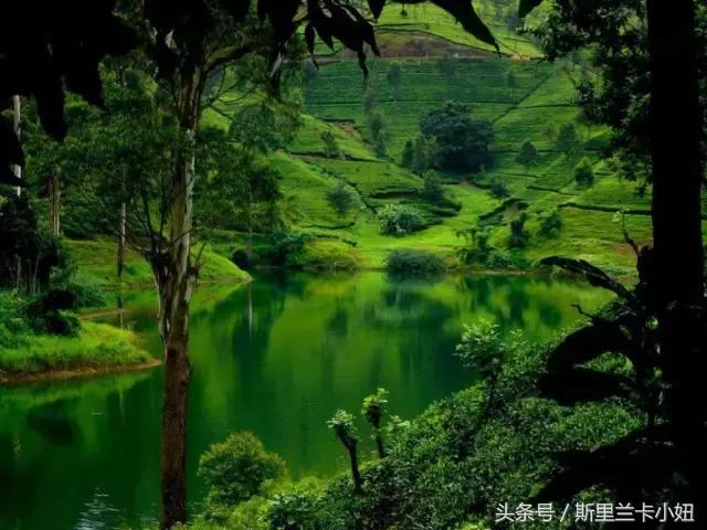 呕心沥血整理干货,呕心沥血积累出的80条临证心得