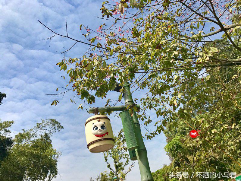 长隆野生动物园3天2晚亲子游,广州长隆野生动物园亲子游攻略