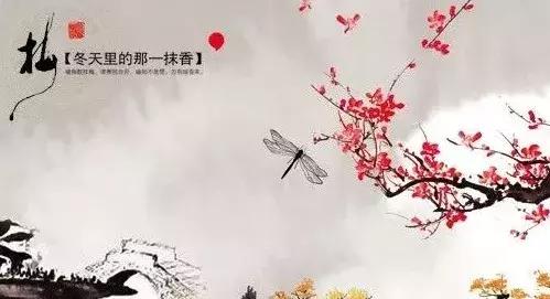 瓜小榕随笔系列（四）苦尽甘来