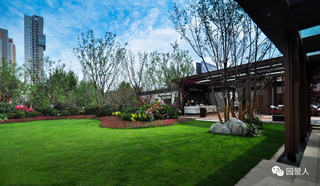 阳光草地美景,福州阳光草坪