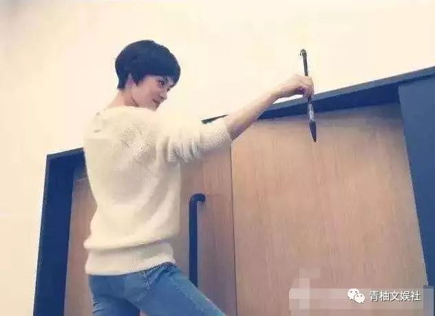 韩雪组装手机、吴彦祖造房子你不知道的明星隐藏技能