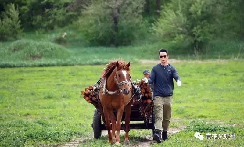 韩雪组装手机、吴彦祖造房子你不知道的明星隐藏技能