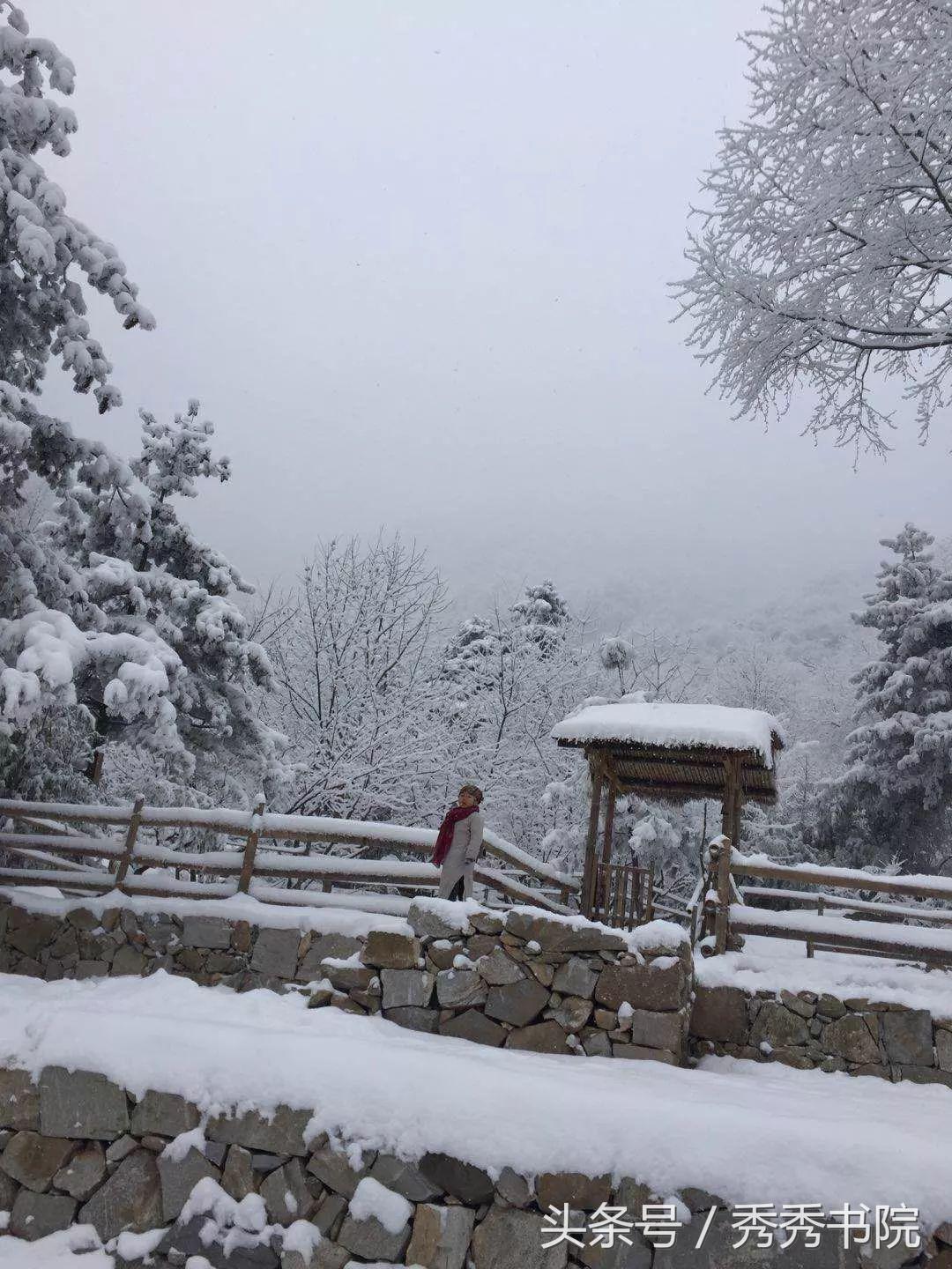 茶道养生课视频教程,茶道养生全集视频