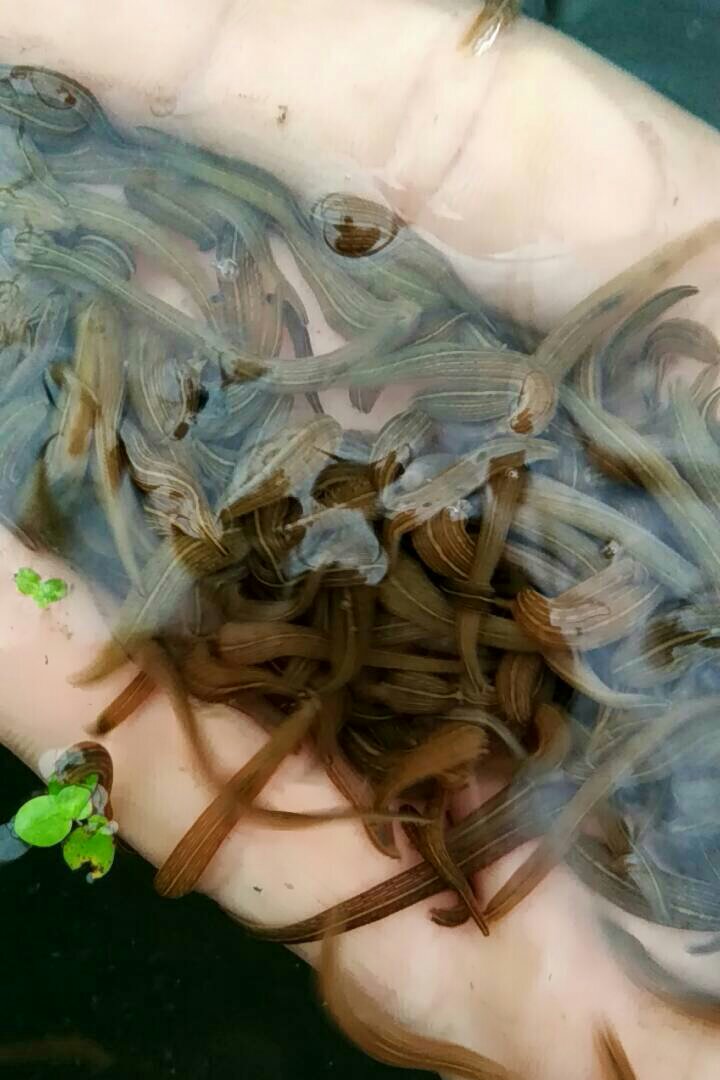 十大创业商机项目有哪些,好商机与创业好项目大全