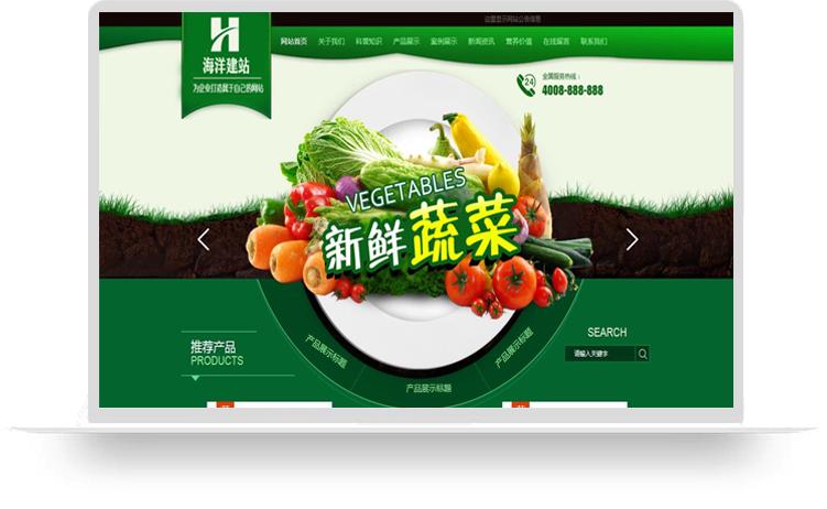 怎么做一个电商网站推广,网站推广引流的有效手段