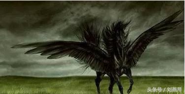 计算机平面设计有前途吗,室内设计和平面设计哪个前途好