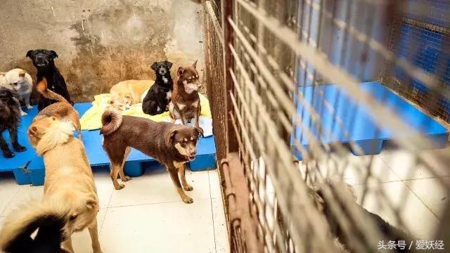 爱妖经陪你过暖冬｜爱要有你才温暖