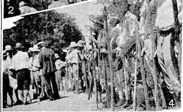 二战日本为何杀光动物园猛兽？一头逃走的黑豹造成东京大骚动