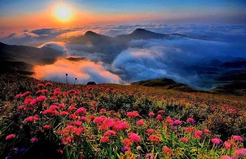 成都到贵州游玩的景点推荐理由,从成都到贵州旅游攻略自由行