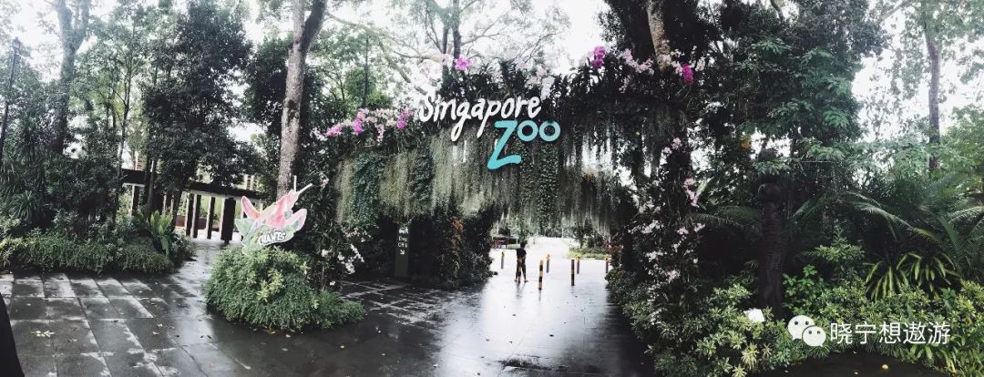 新加坡攻略及所带物品,新加坡攻略游戏