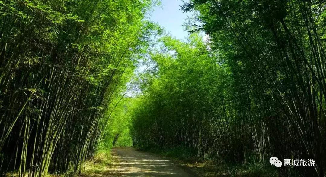 有颜值又有内涵惠城这张旅游名片送给你收好不谢！