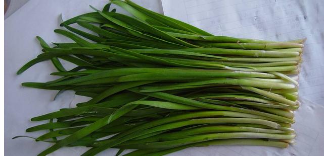 你知道几种钓鱼小药,钓鱼小药配方大全价格