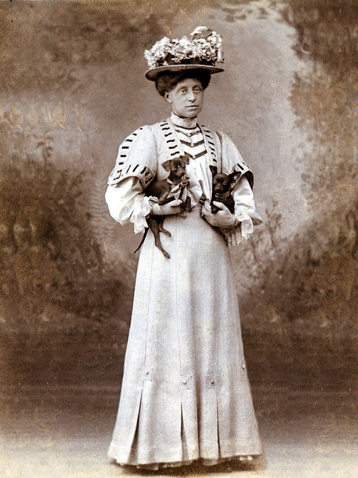 英国国王养的柯基狗,宠物英国皇室犬