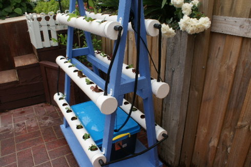 以色列室内无土栽培蔬菜方法,家庭小型无土栽培蔬菜技术