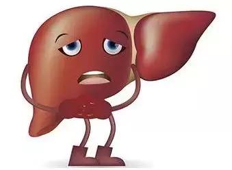 熬夜对肝的哪些指标有影响,熬夜对肝危害怎么补回来