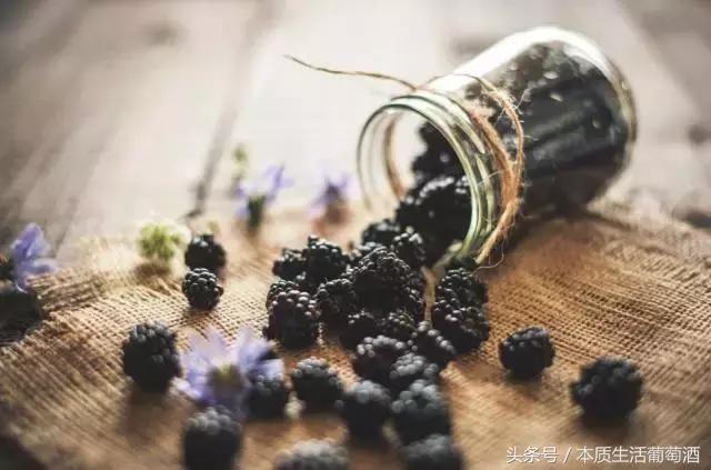 葡萄酒里面有哪些水果,喝葡萄酒前一定要知道的那些事