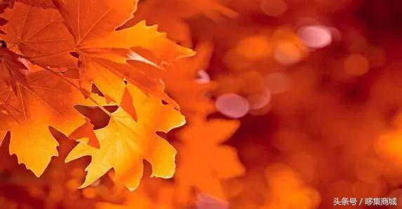 gucci口红505枫叶红棕,迪奥口红840枫叶砖红哑光