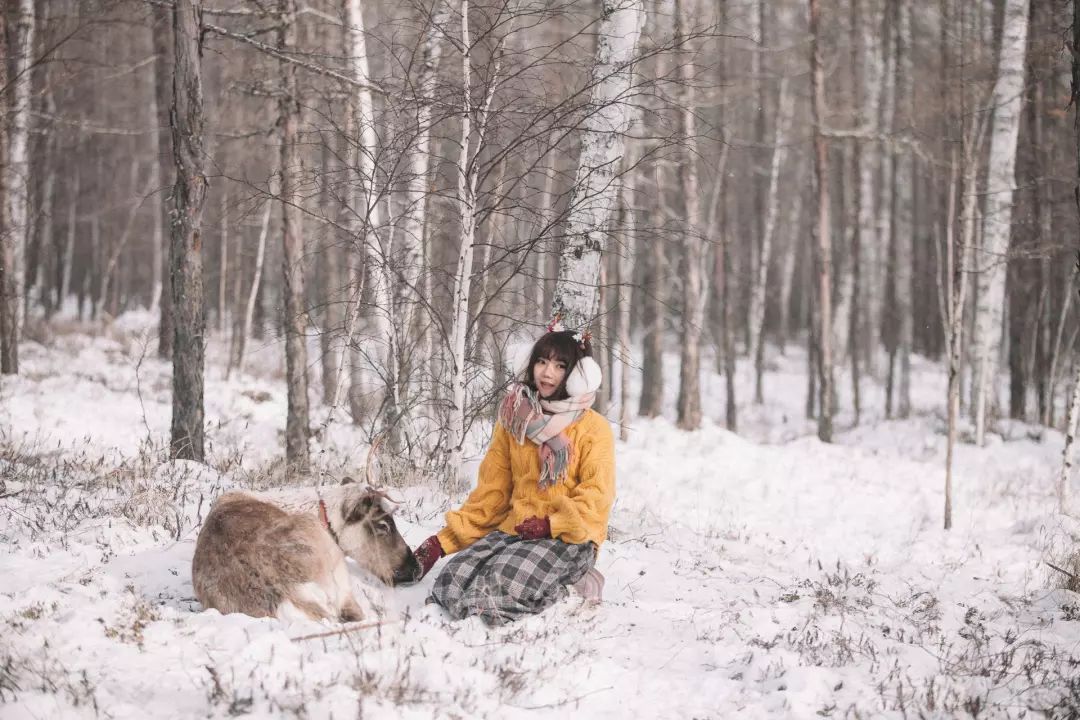 最后的驯鹿部落敖鲁古雅,中国最后原始部落敖鲁古雅