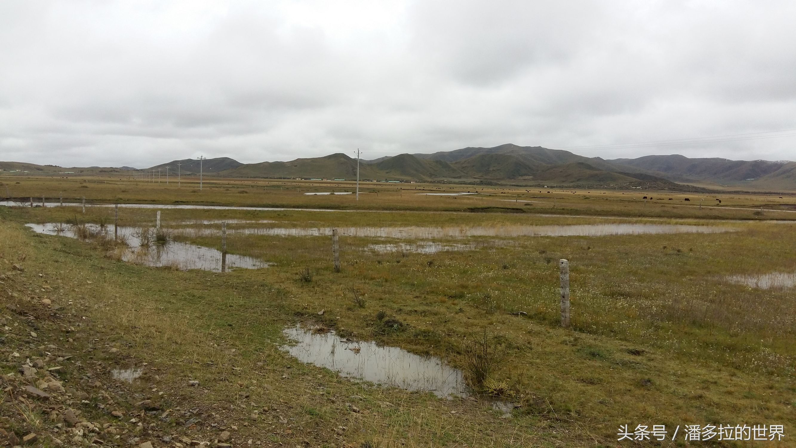 若尔盖大草原到底好不好玩,若尔盖大草原有没有沙漠