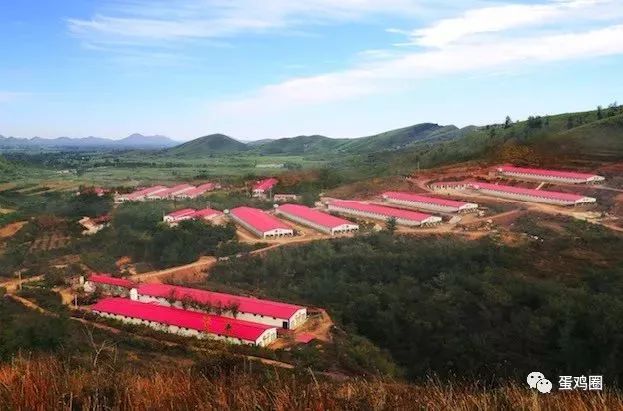 怎样搭建鸡舍方便又卫生,怎样建室内鸡舍图片