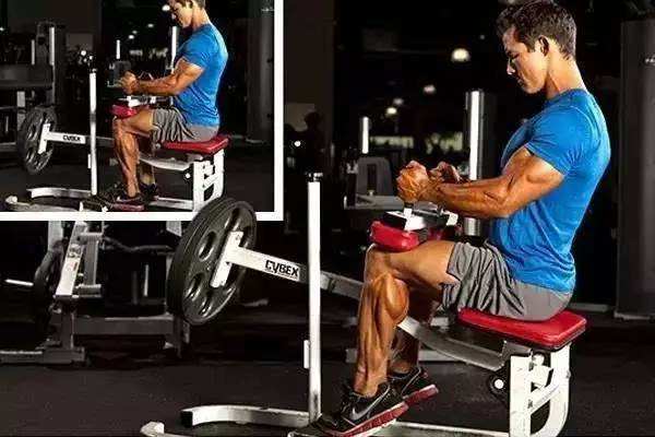 为什么小腿的肌肉会比较明显,小腿肌肉为什么比大腿发达