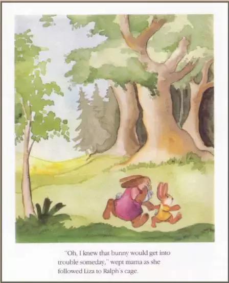 bunnyrabbit绘本,英语绘本小故事bubble