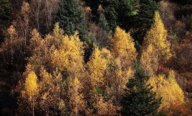 川西小众景点地图,自驾川西甘孜不能错过的小众秘境