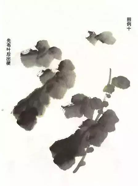 国画菊花画法教学视频,国画入门菊花的画法