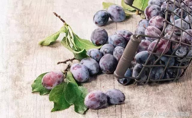 葡萄酒里面有哪些水果,喝葡萄酒前一定要知道的那些事