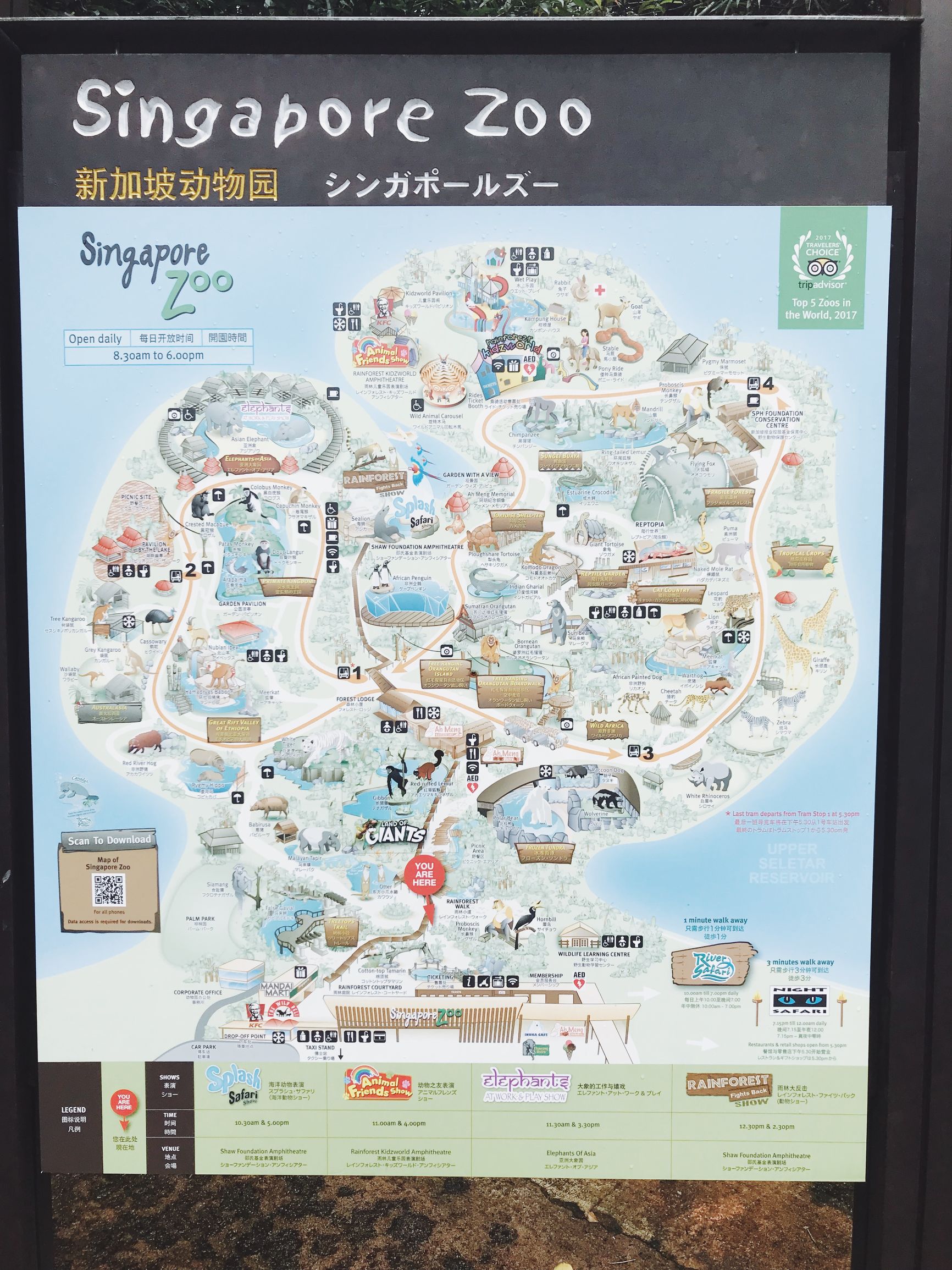 新加坡攻略及所带物品,新加坡攻略游戏