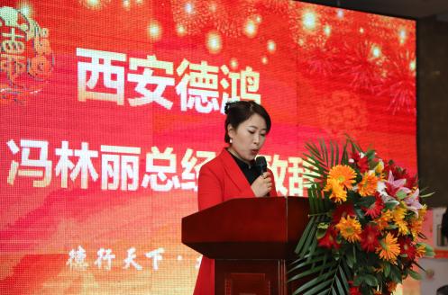 陕西德鸿集团年会,德鸿集团交流会