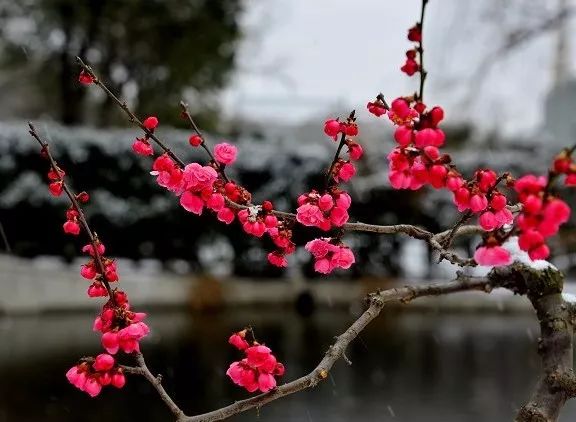 诗词原创长相思,长相思情感经典诗词