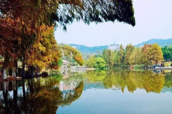 哄女朋友的旅游攻略,哄女友开心的要点