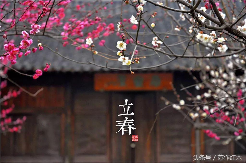 立春又是一年春归时,一年之计在于春立春