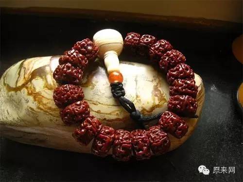 菩提本无树，果实作文玩