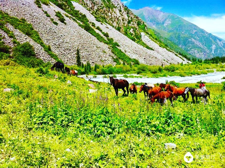 这里曾是中国领土，被誉为「中亚瑞士」，游客3天拿到电子签