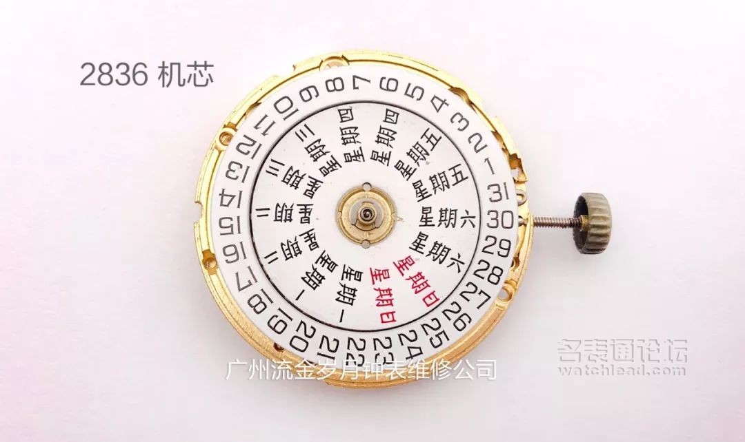 学会修表很简单：零基础也能学会2824、955、2834、2892机芯保养
