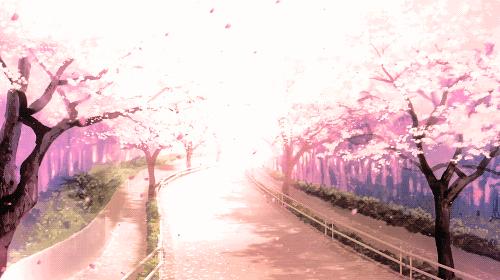 秒速五厘米电影解说,每日一部好电影推荐