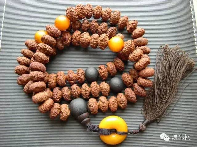 菩提本无树，果实作文玩