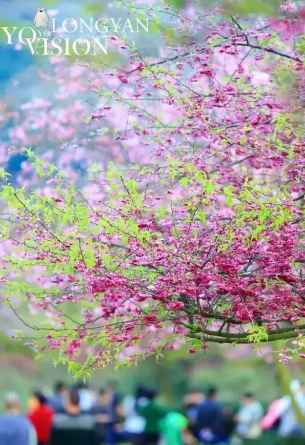 国内风景最好的旅游景点冬天,国内各地最美的十大自驾游线路