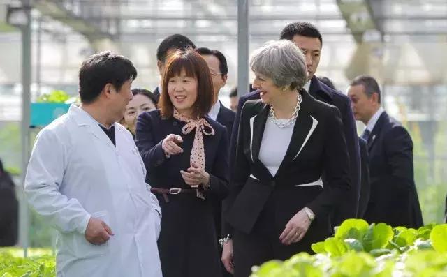 托梅姨访华的福，留学生回国终于不用代购了