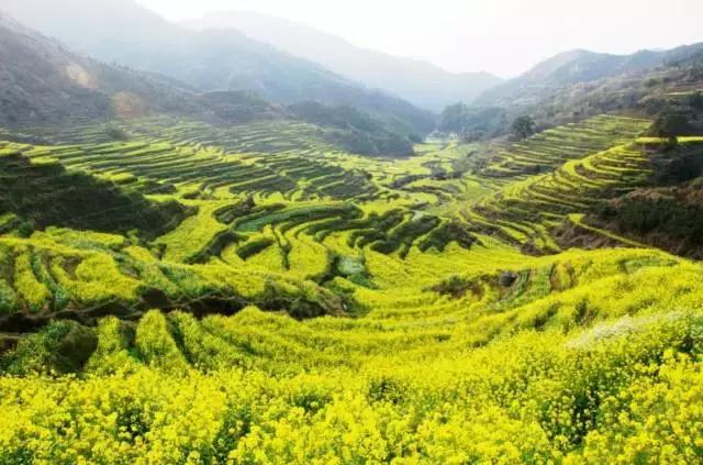 国内2月最美旅行地大推荐,风景线一路美到底(内附游玩线路)!