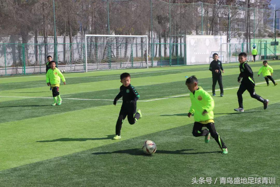 青鸟盛地足球比赛,青鸟盛地足球活动