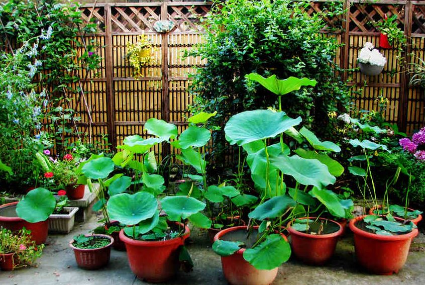 诗词原创长相思,长相思情感经典诗词