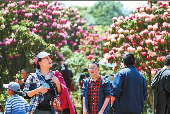 五一何须远游昆明近郊玩场多