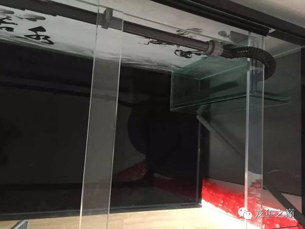 开启人生第二个阶段,开启人生中的第三年