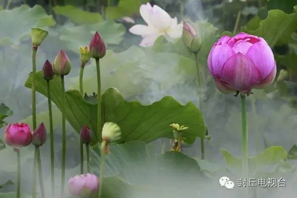 这儿是荥阳,这儿是许昌