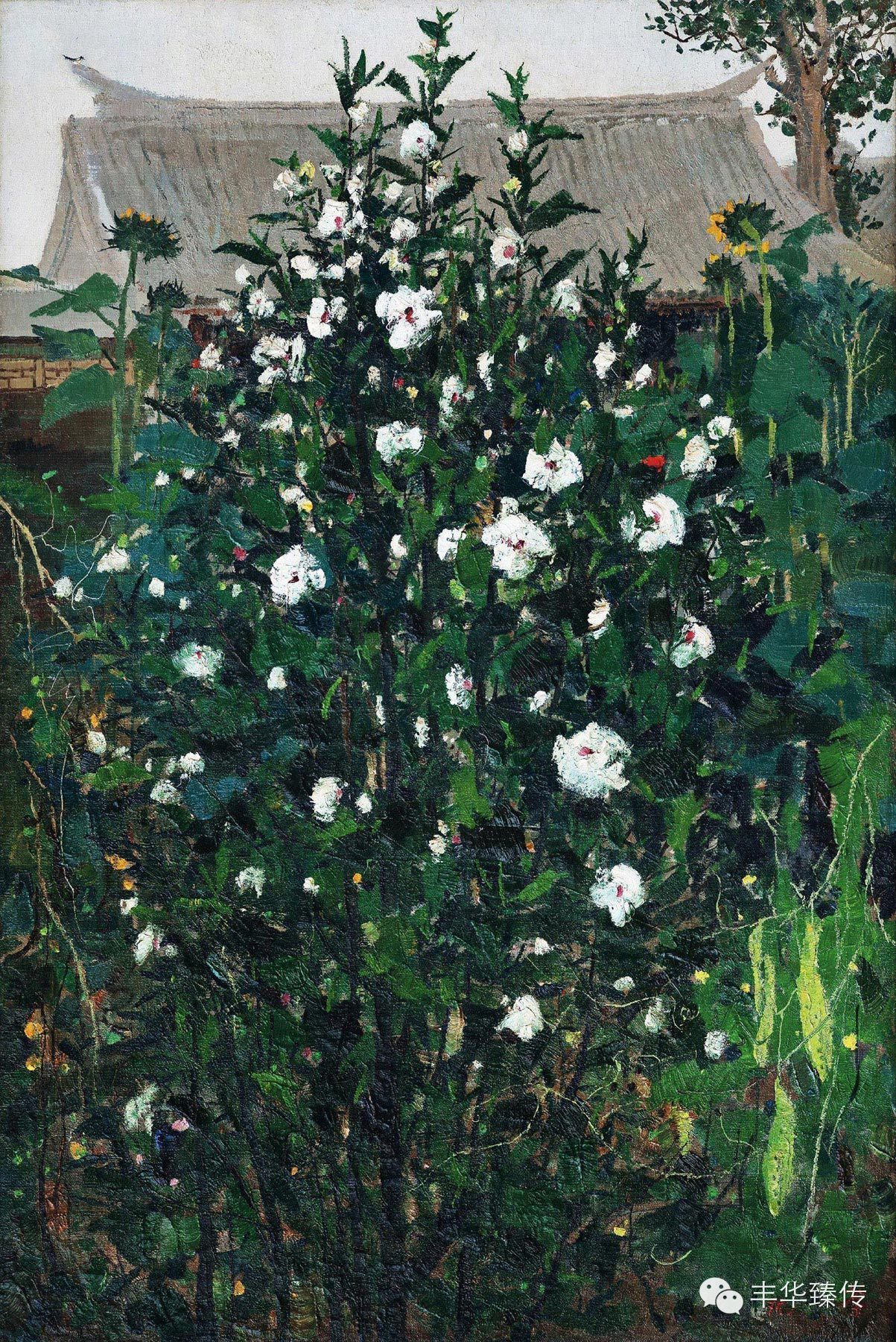 保利澳门拍卖ceo,隔岸赏花